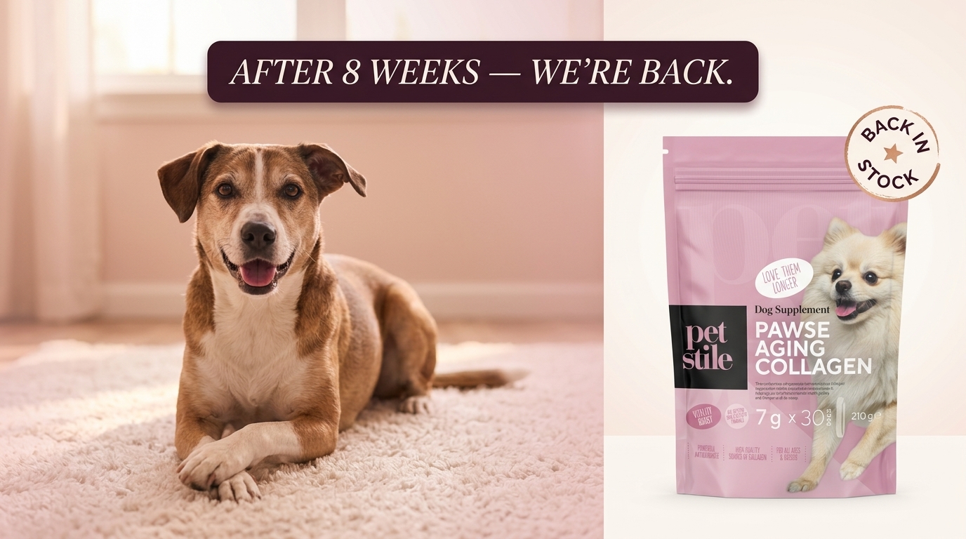 Pawse Aging Collagen — back in stock
